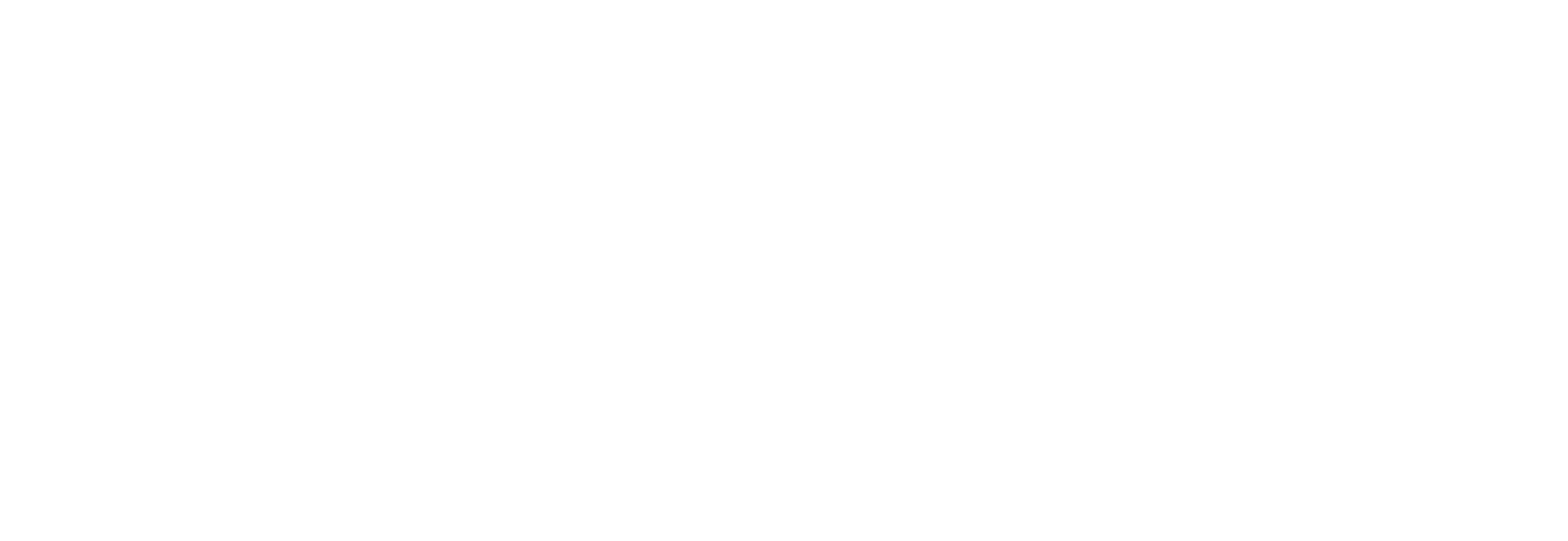 U.N.T. System I.T. home